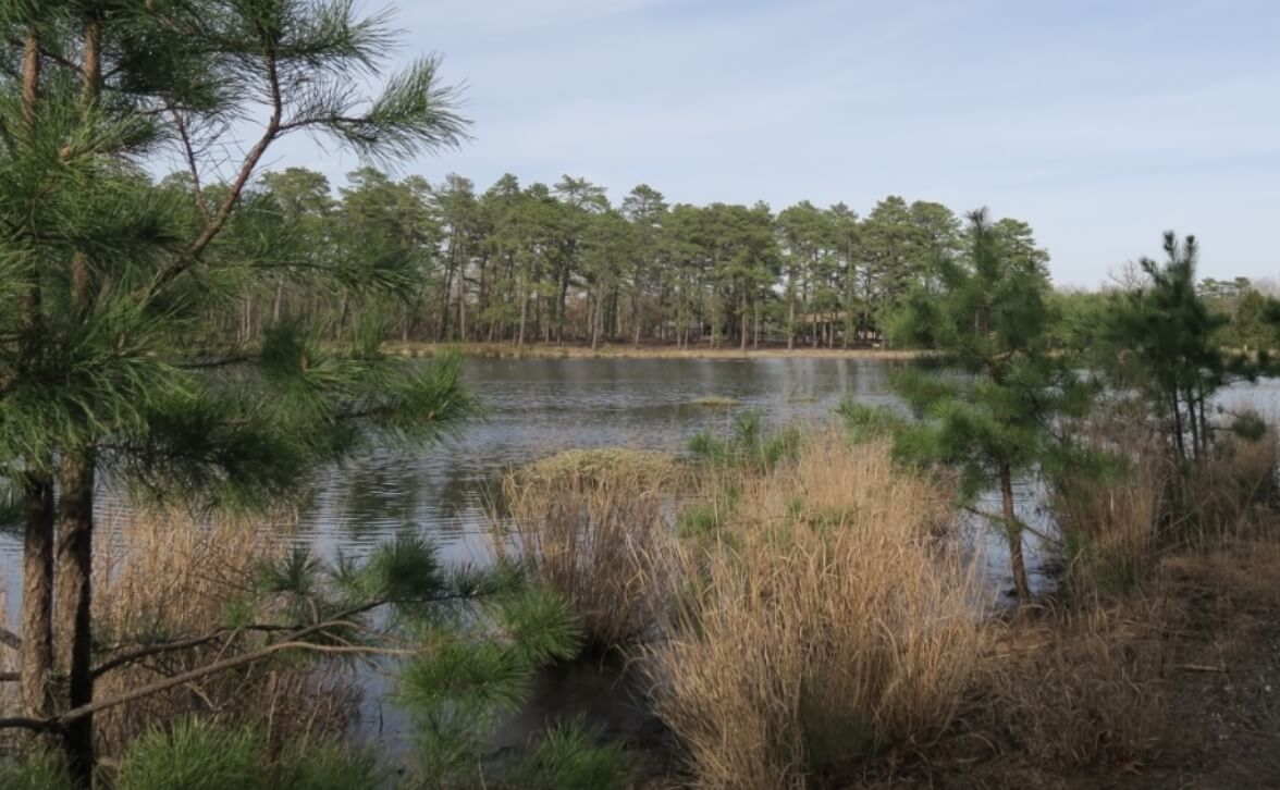Cloverdale Park - Ocean County, NJ
